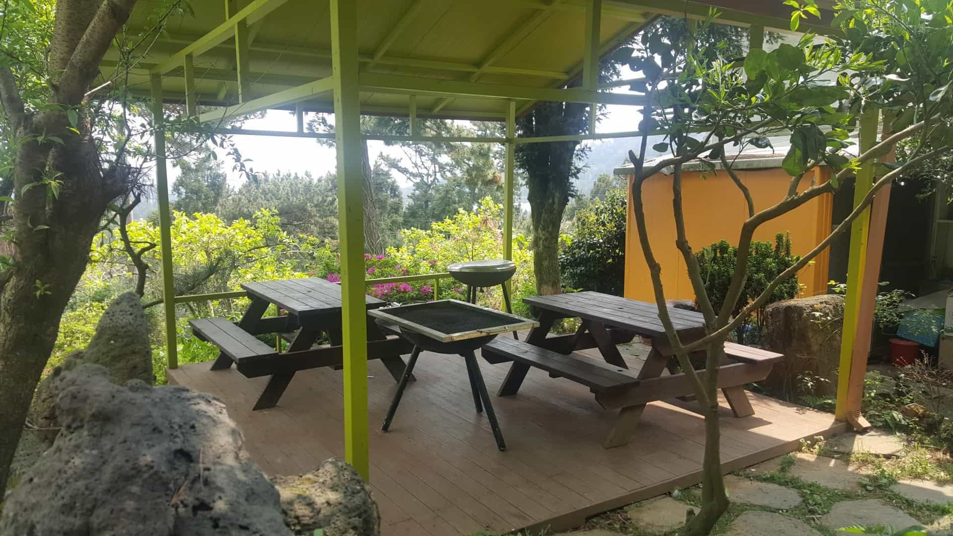 Dreaming Forest Pension
