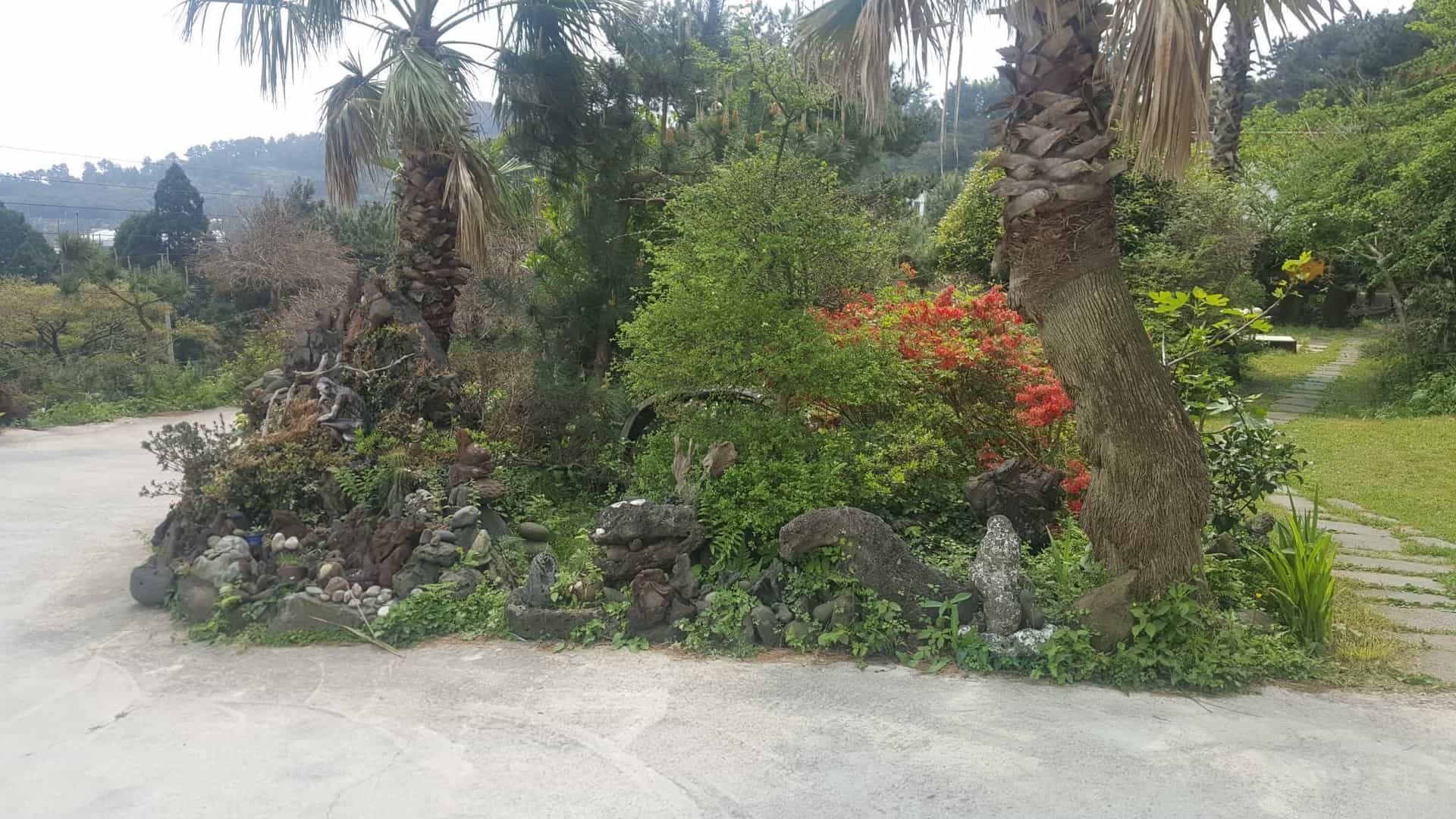 Dreaming Forest Pension