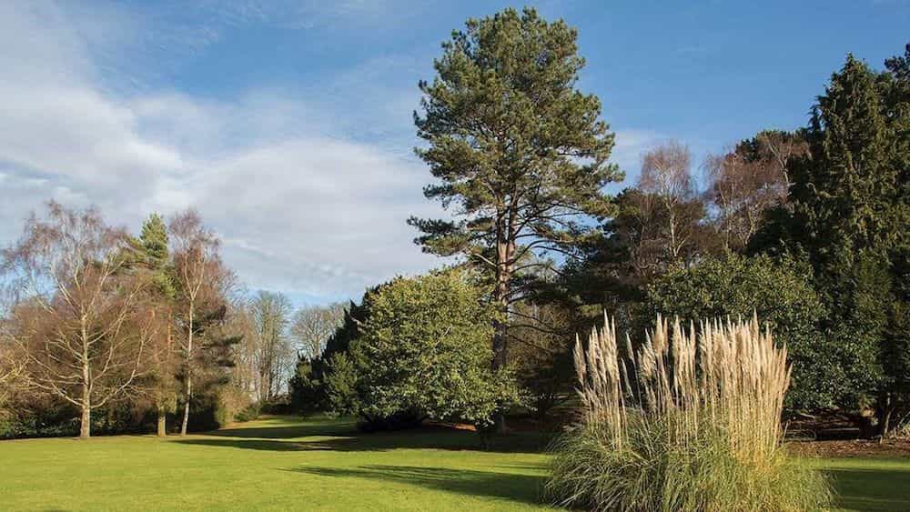 Brandshatch Place Hotel & Spa