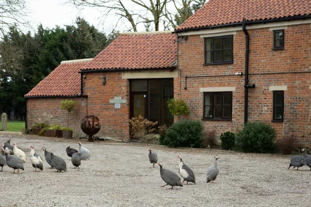 Brickfields Farm