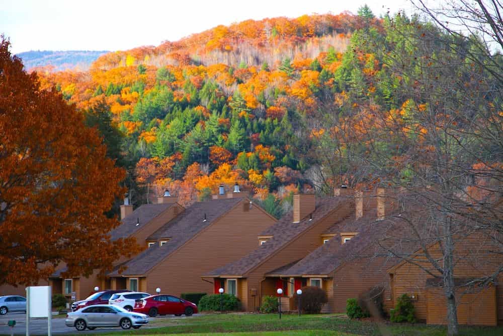 Cold Spring Resort
