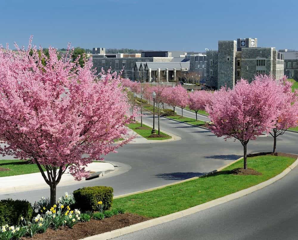 THE INN AT VIRGINIA TECH