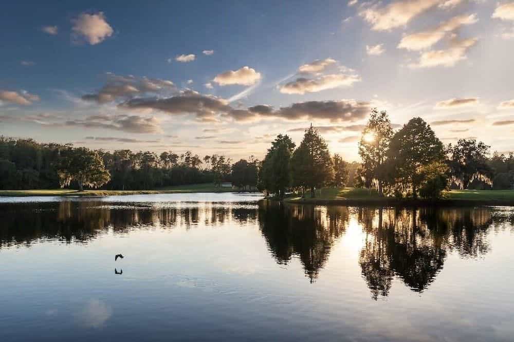 Innisbrook Resort & Golf Club