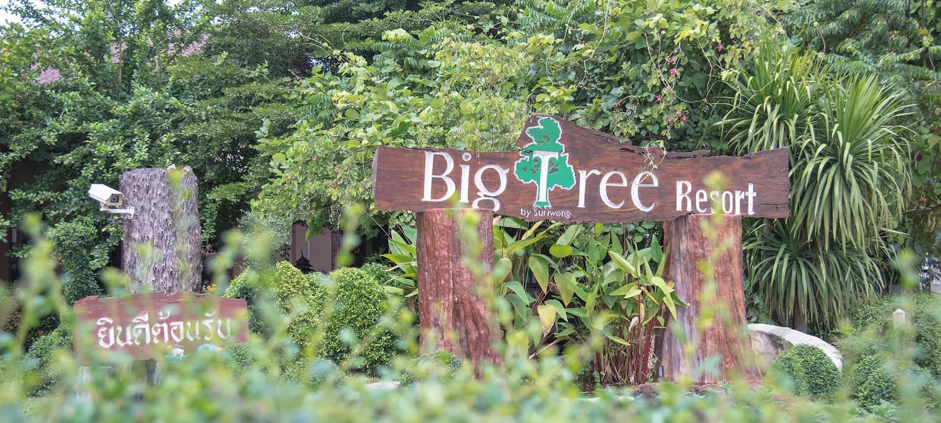 Maiyai Resort - Big Tree Maiyai Resort - Big Tree