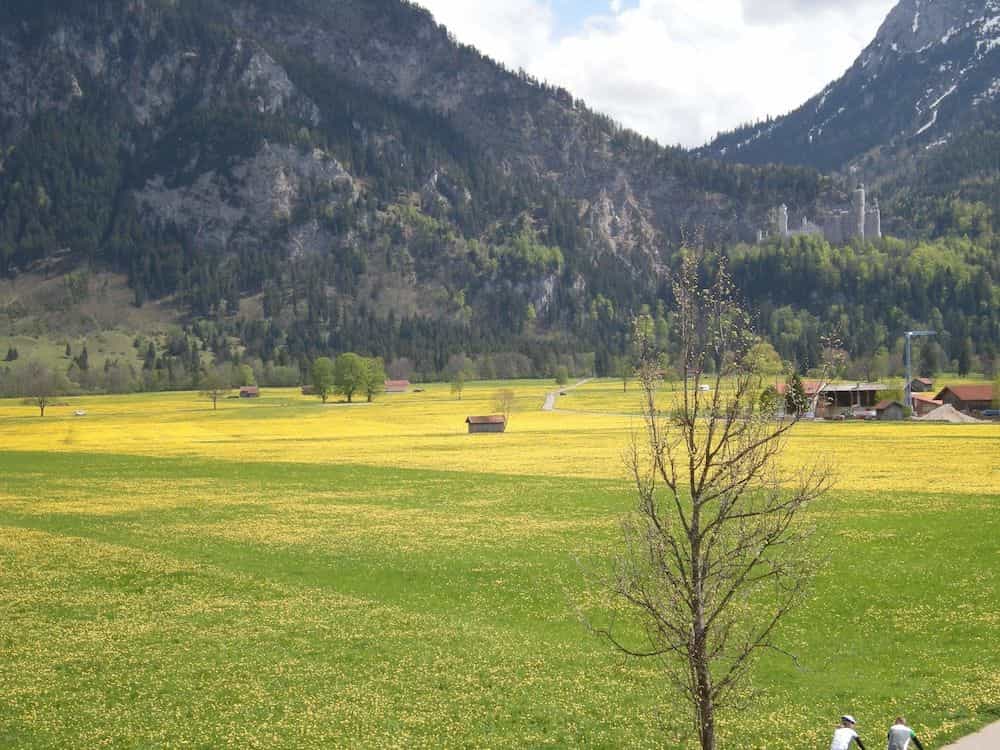 Hotel Weinbauer