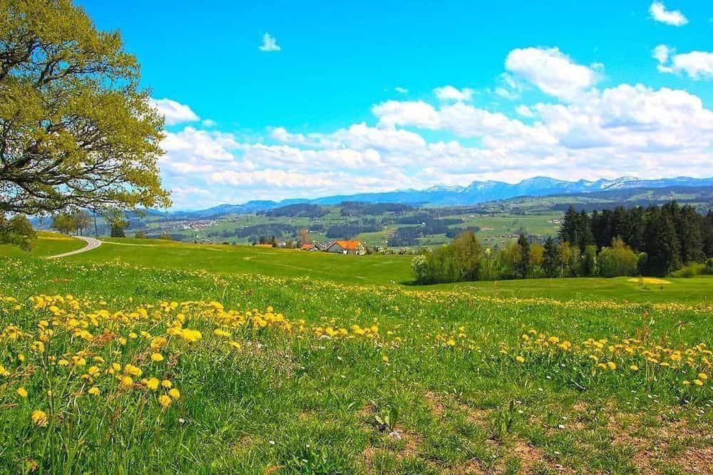 Hotel Allgau Garni