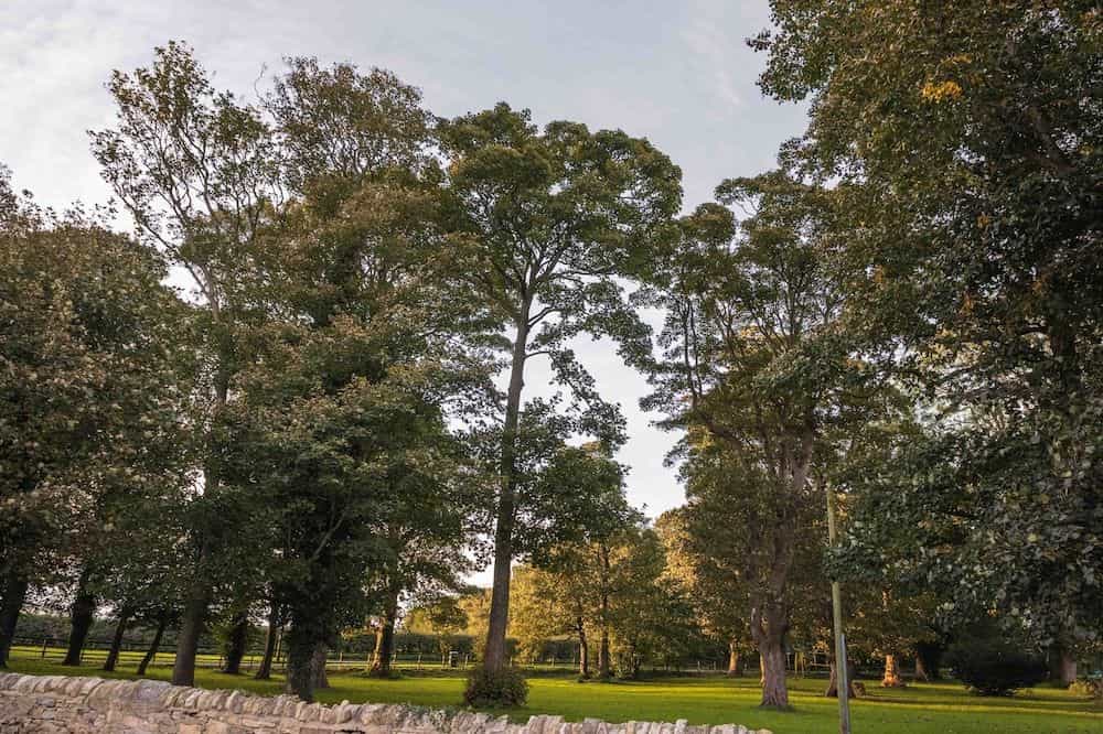 Hallgarth Manor Country Hotel & Restaurant Hallgarth Manor Country Hotel & Restaurant