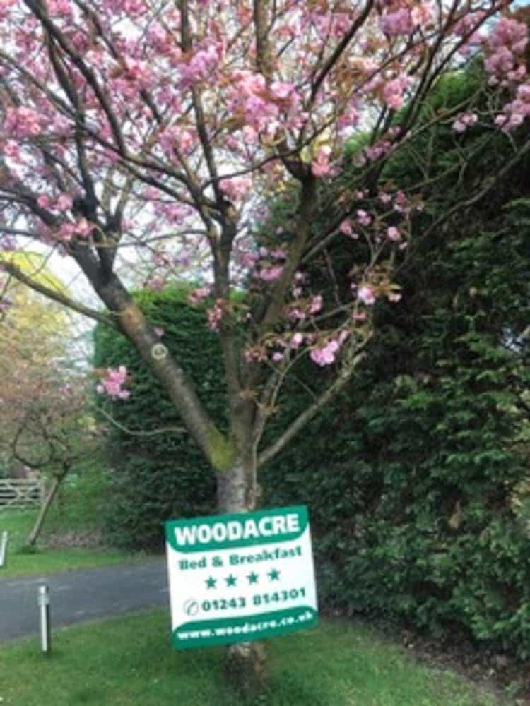 Woodacre B & B