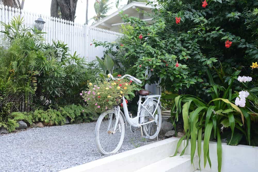 The Hen Hua Hin The Hen Hua Hin