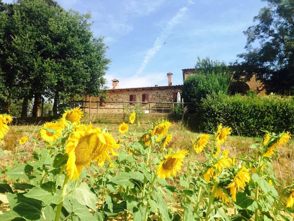 Poggio Cantarello Vacanze