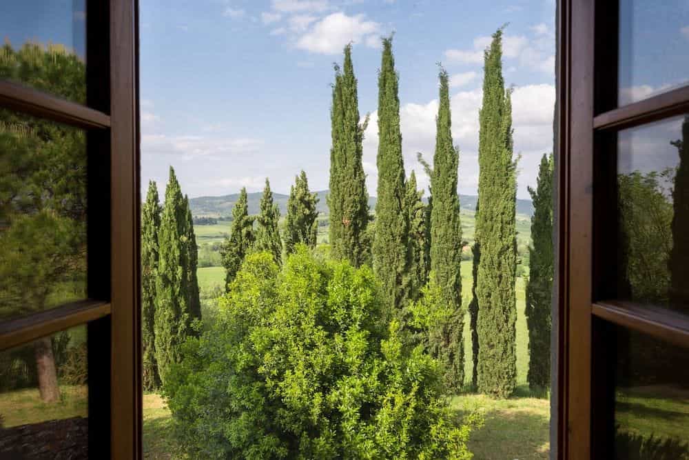 Podere Torricella