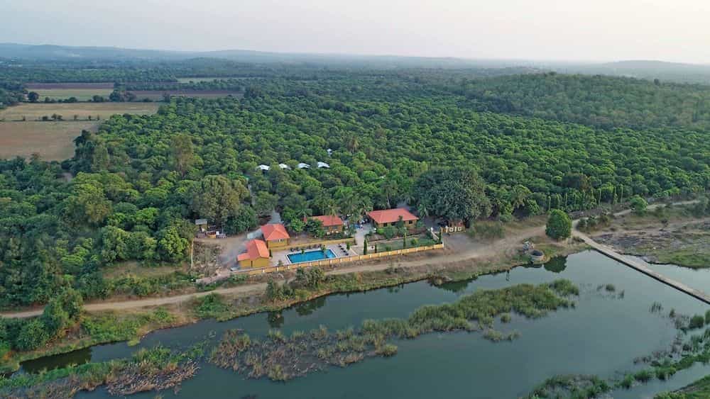 Lion Safari Camp