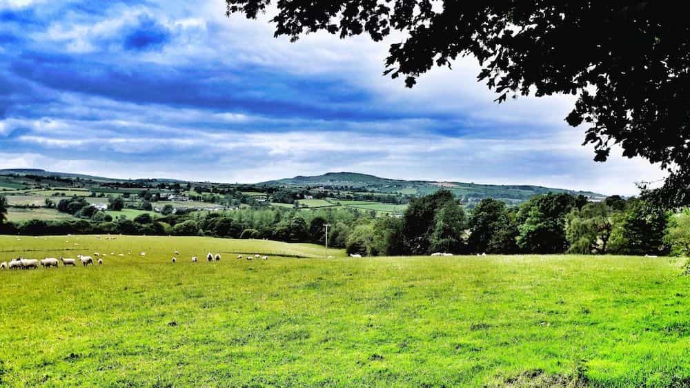 Elagh View Bed & Breakfast