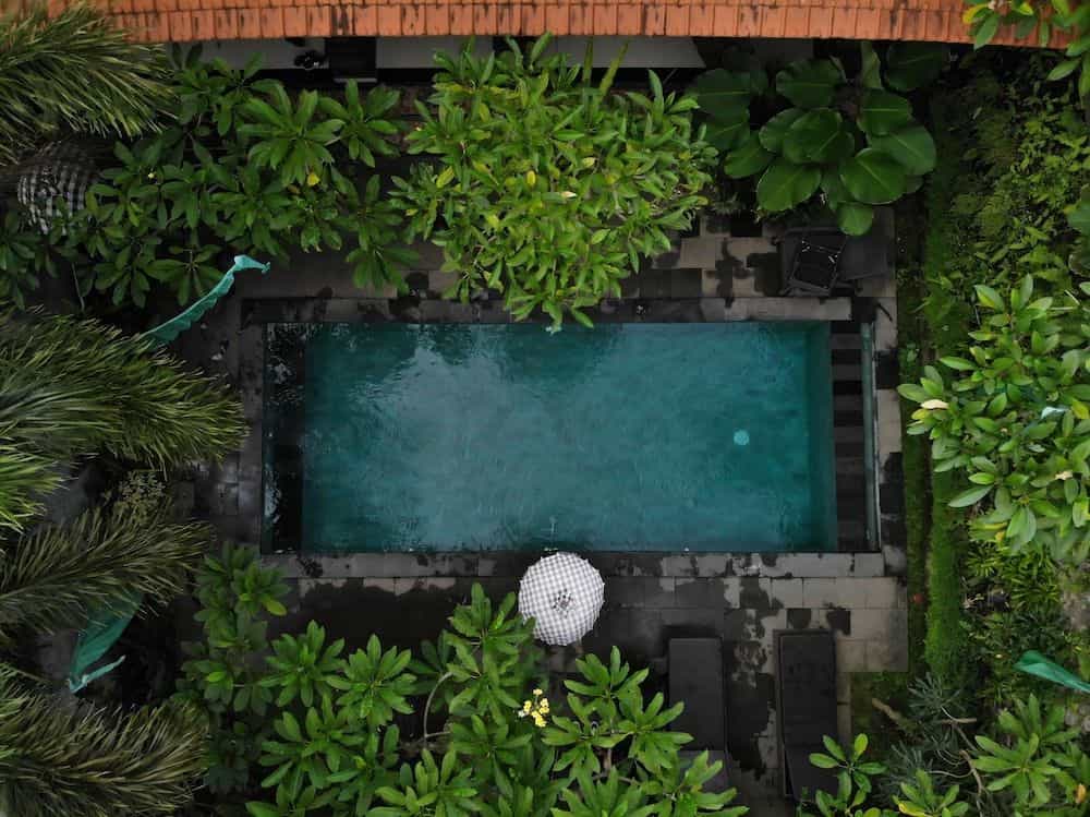 Jiwa's House