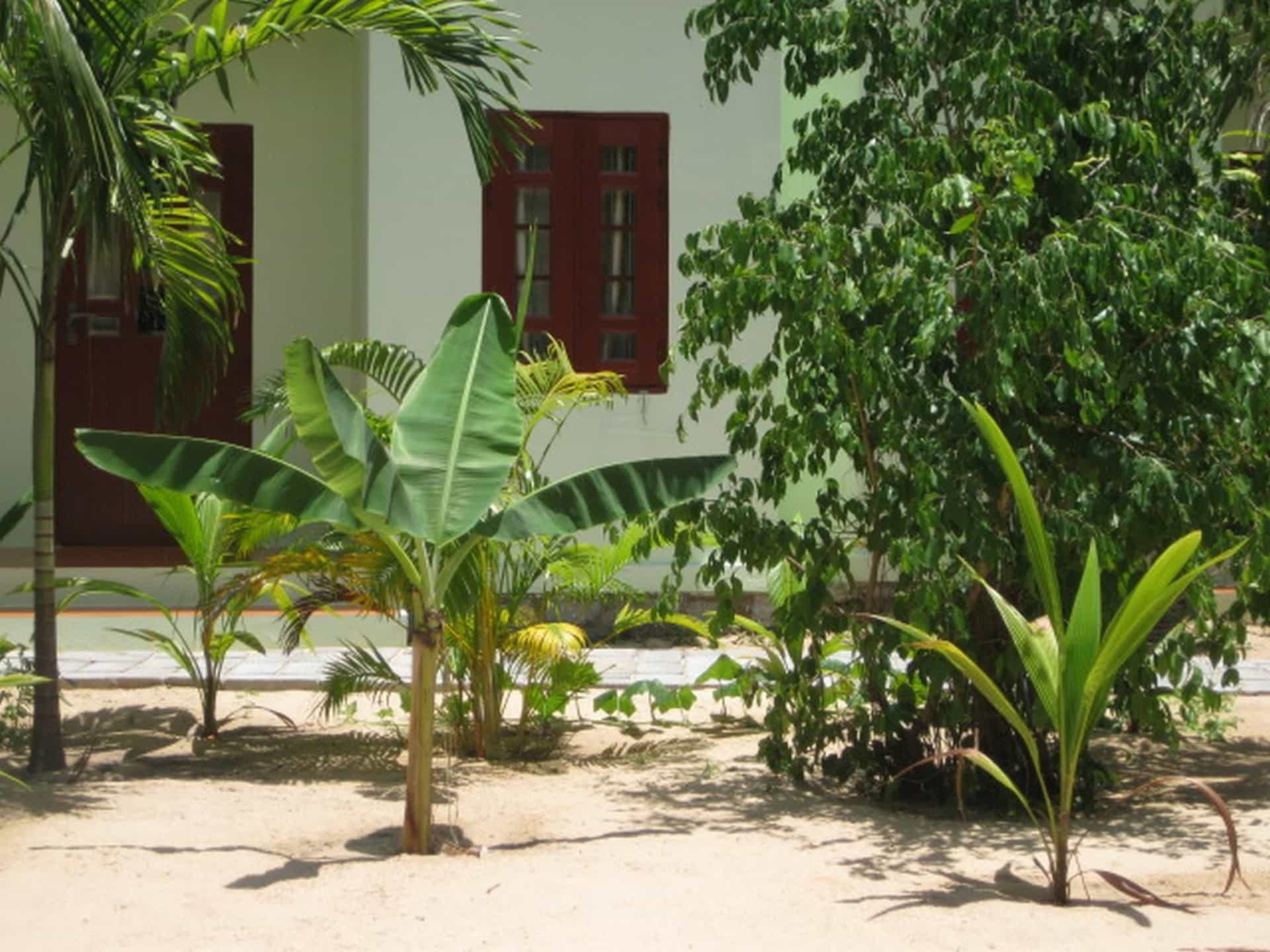 Cocosand Hotel Cocosand Hotel