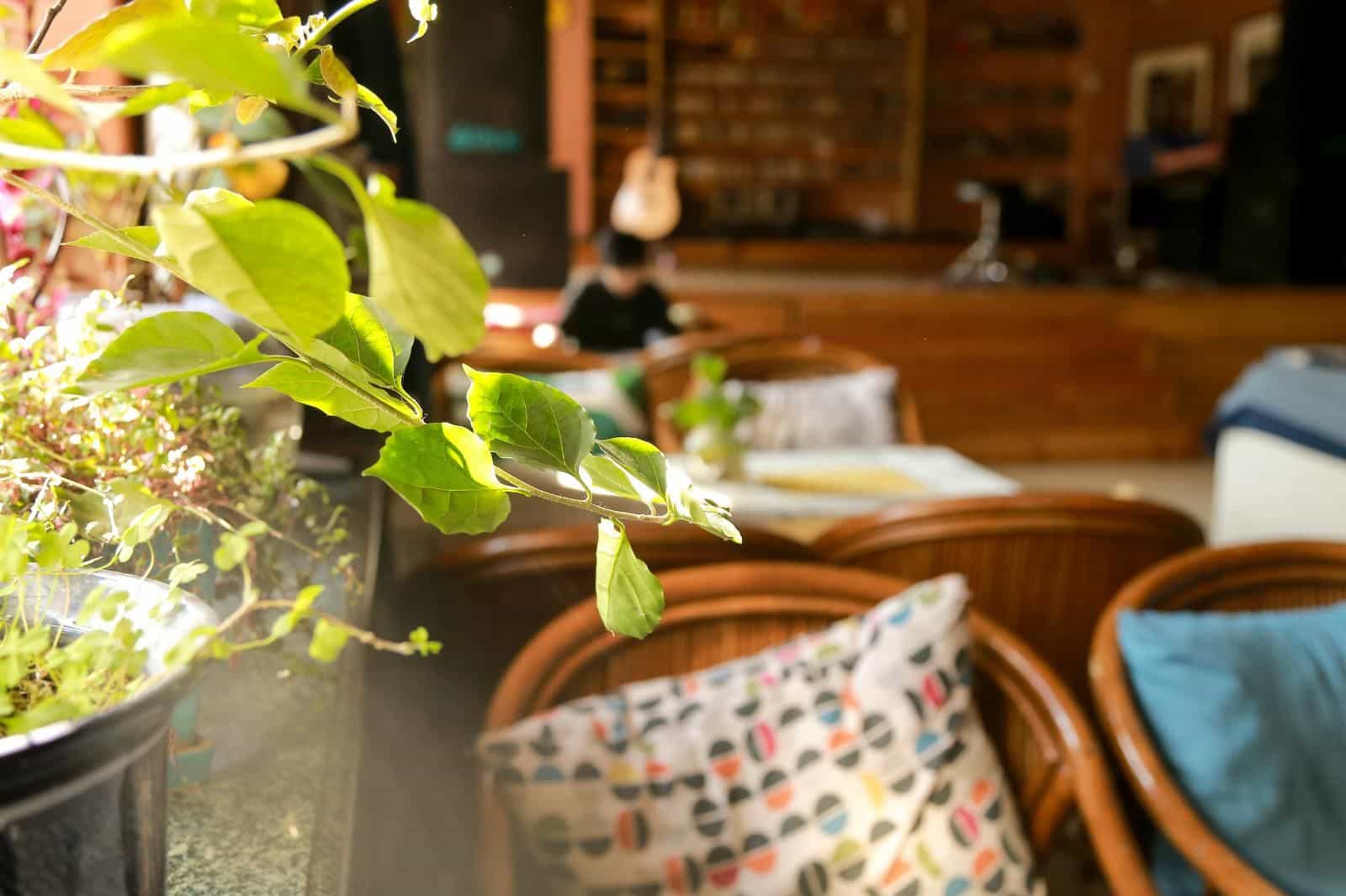 The North International Youth Hostel The North International Youth Hostel