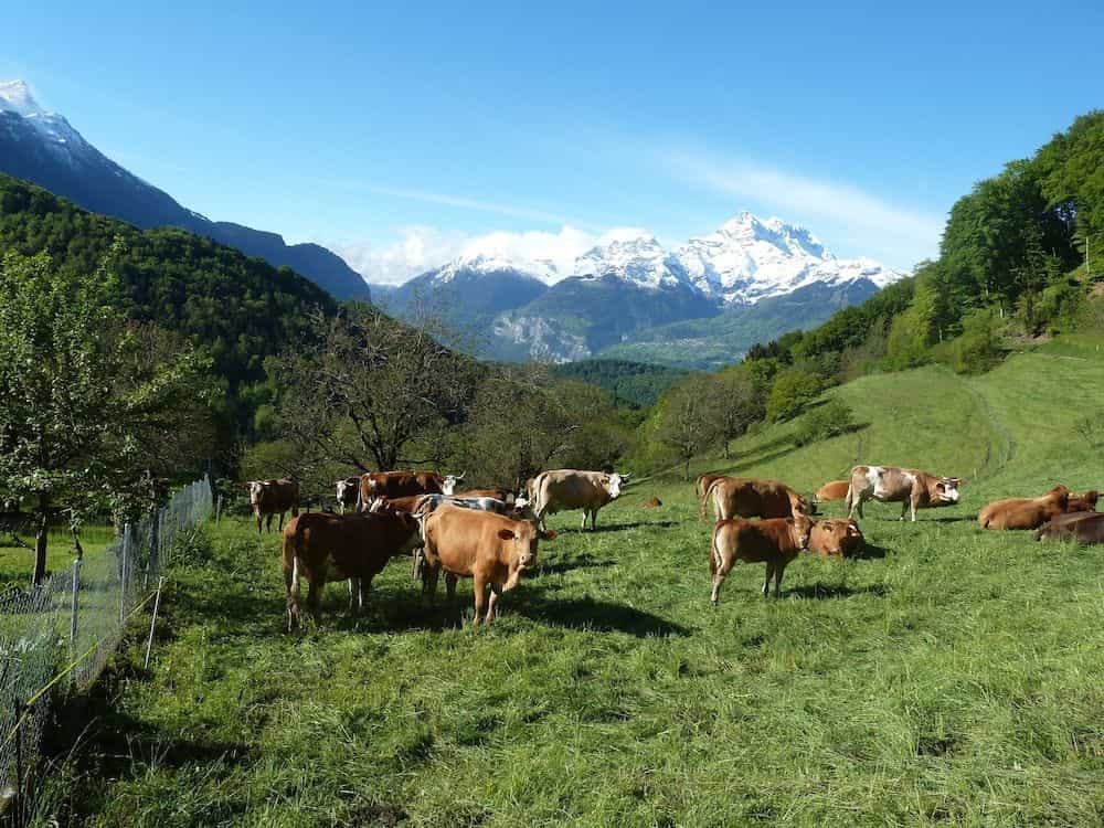 La Petite Grange