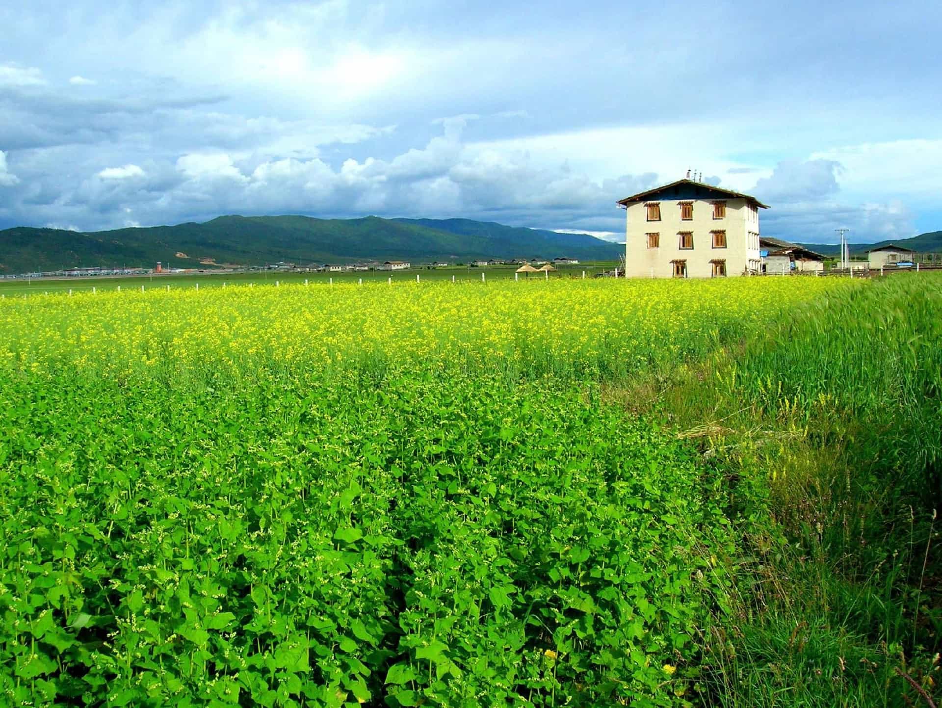 Lao Shay Youth Hostel Shangri-la