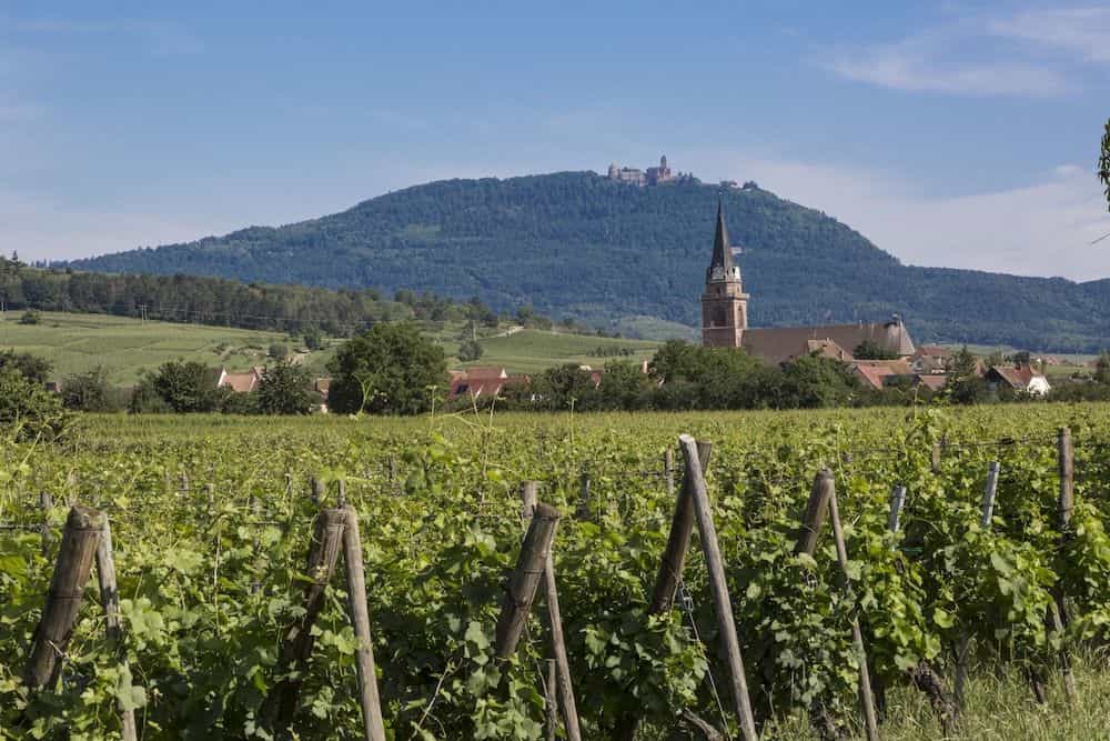 Le Domaine des Rois Le Domaine des Rois