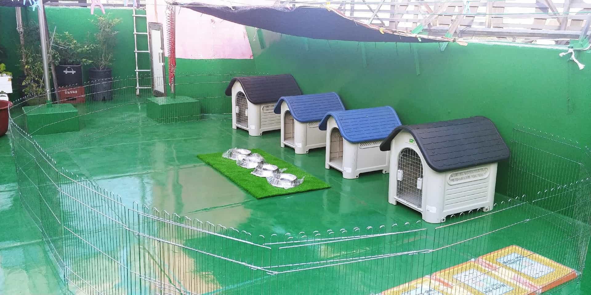 บราวน์ โฮเต็ล