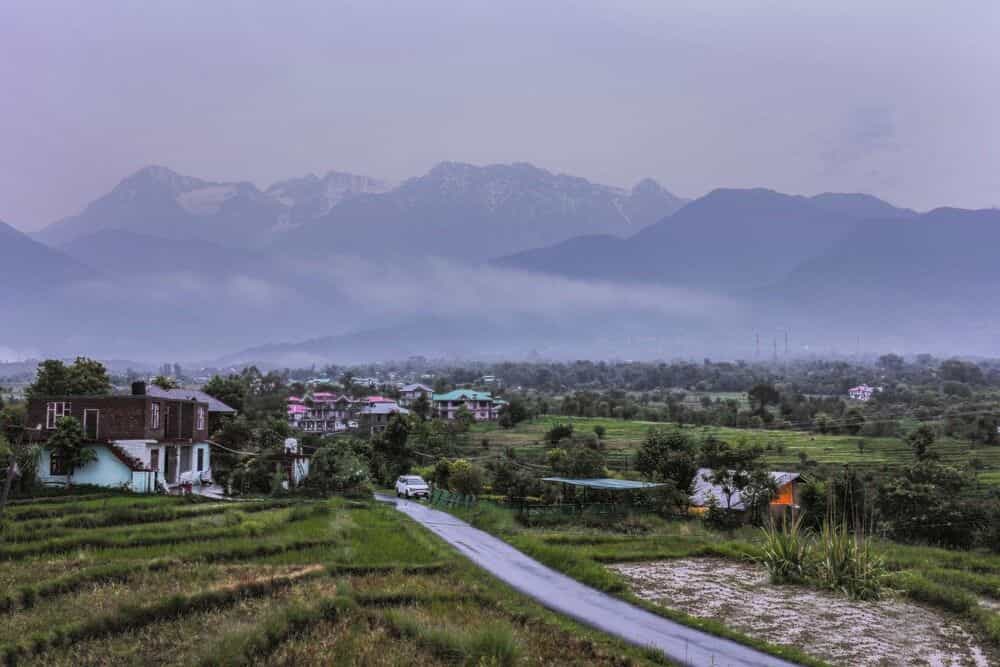 Seclude Palampur, Himachal Pradesh