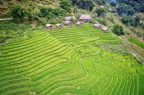 Eco Palms House - Sapa Retreat Eco Palms House - Sapa Retreat