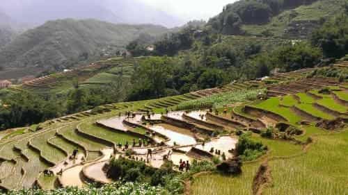 Eco Palms House - Sapa Retreat Eco Palms House - Sapa Retreat
