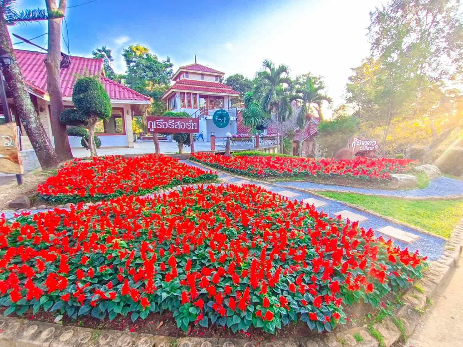 ภูเรือ รีสอร์ท ภูเรือ รีสอร์ท