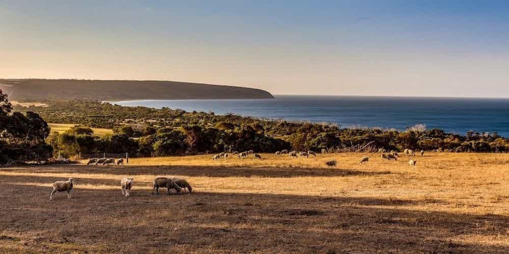 Antechamber Bay Retreats