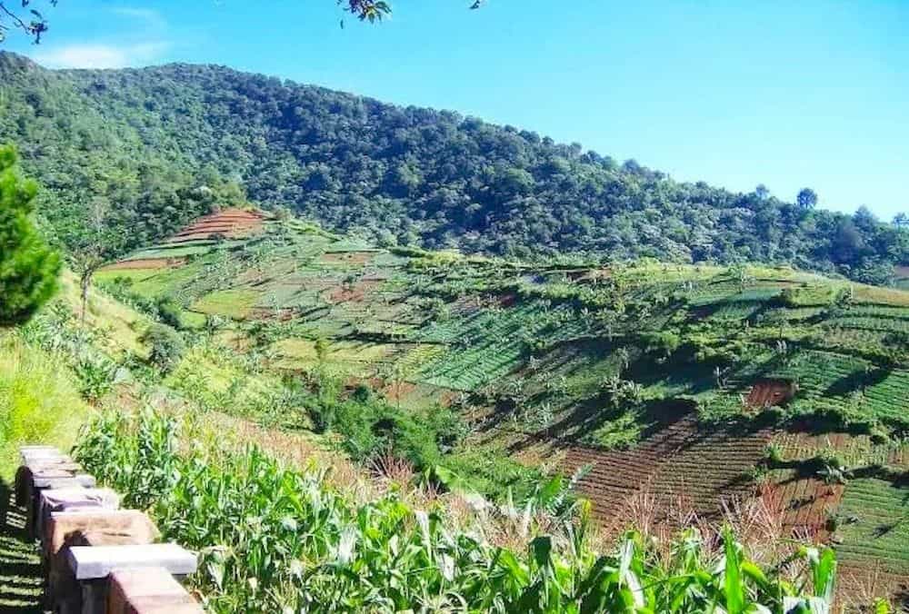 Talita Mountain Resort