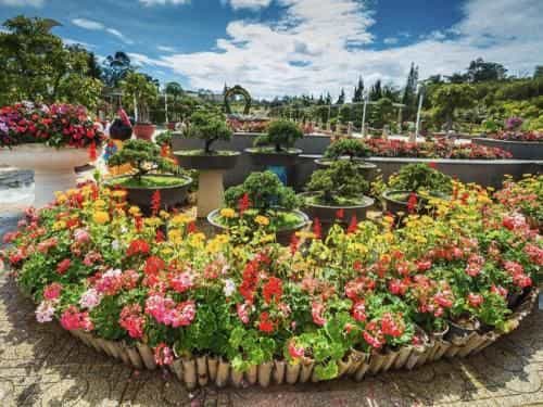 Dalat Flower Hotel & Spa Dalat Flower Hotel & Spa