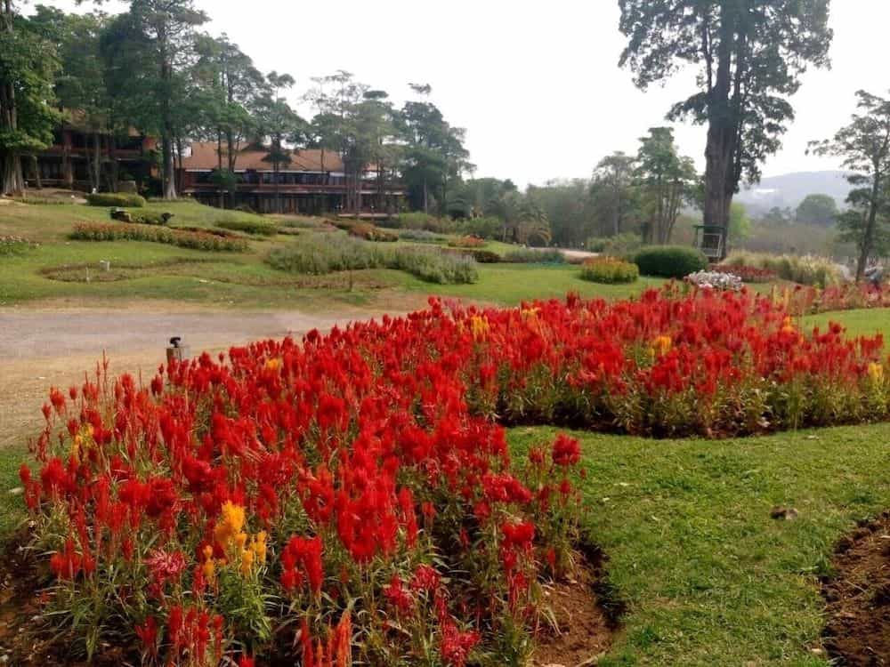 อาราญาน่า ภูพิมาน รีสอร์ท แอนด์ สปา