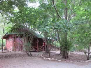 Baan Morning