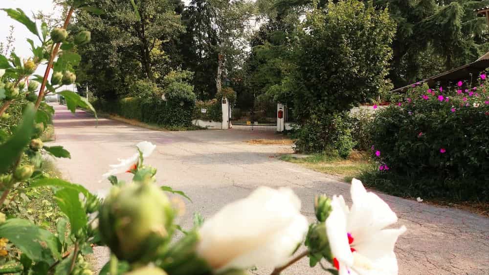 Villa Maria Sole Bed and Breakfast