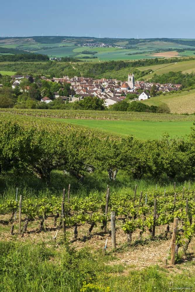Cerise Auxerre Cerise Auxerre