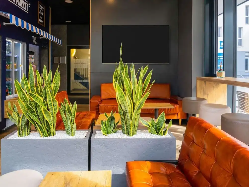 ibis budget Muenchen City Olympiapark ibis budget Muenchen City Olympiapark