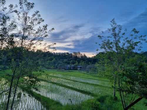 Nongtao homestay Nongtao homestay