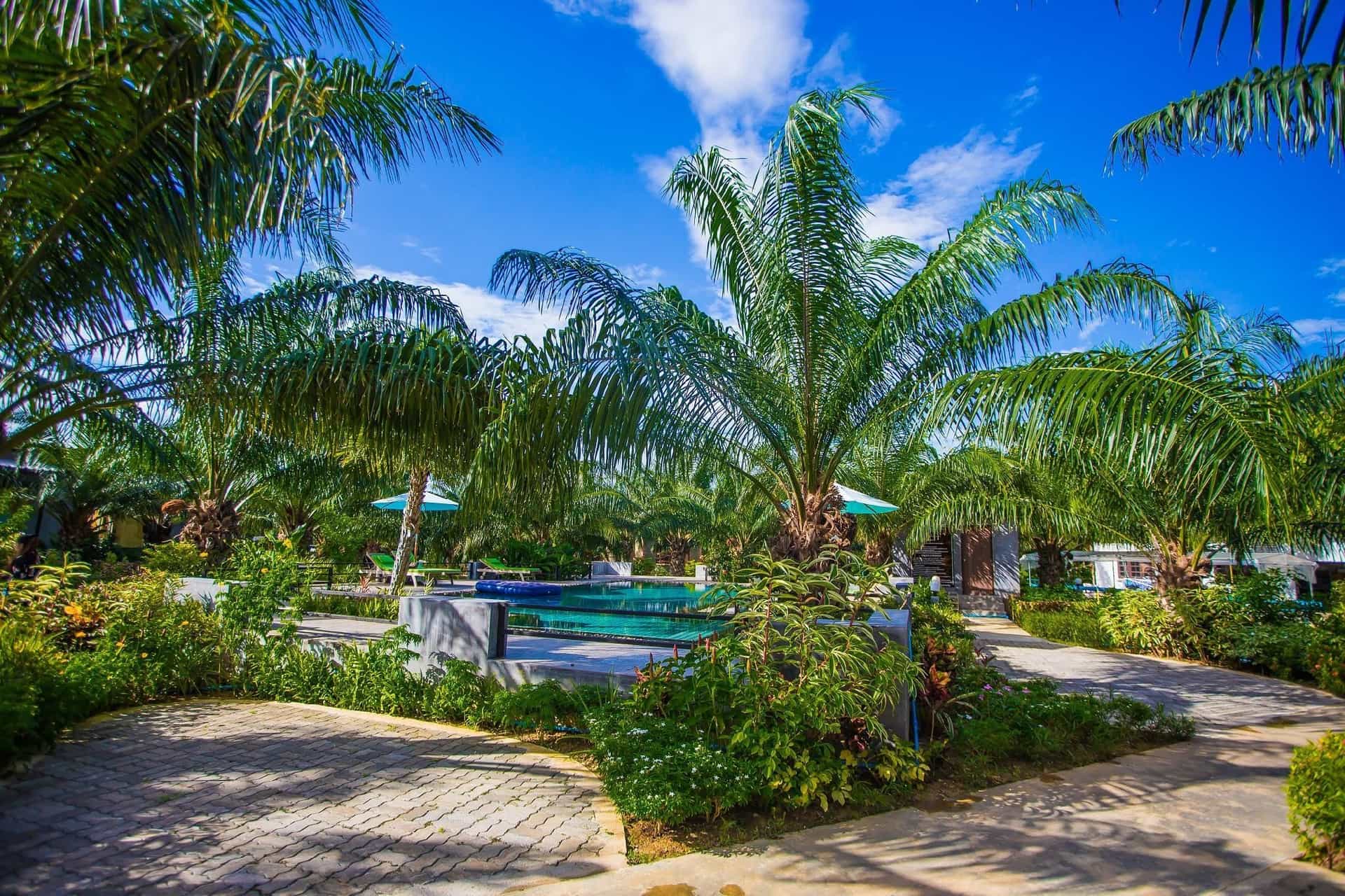 Palm Pran Resort