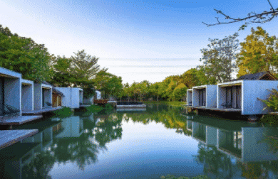 Into The Forest Resort