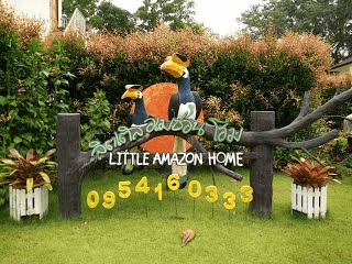 Little Amazon Home