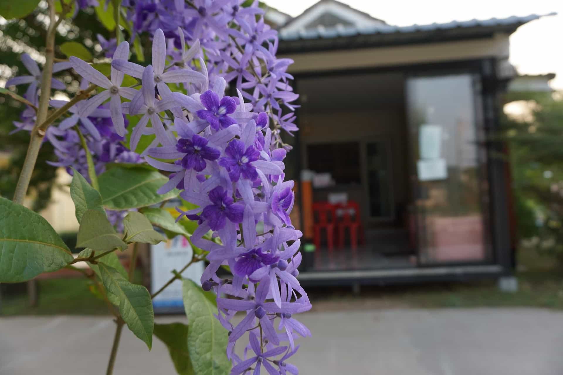 Suwi Coco Ville Resort Suwi Coco Ville Resort