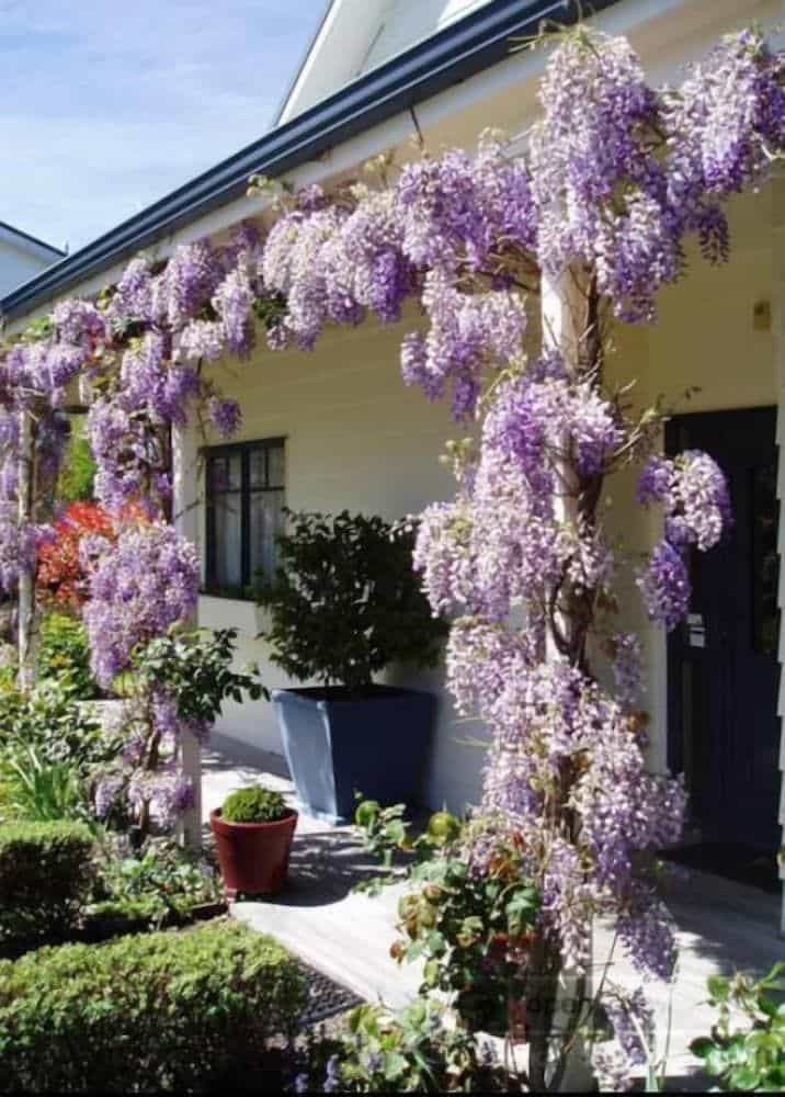 Olive Rabbit - Boutique Bed & Breakfast