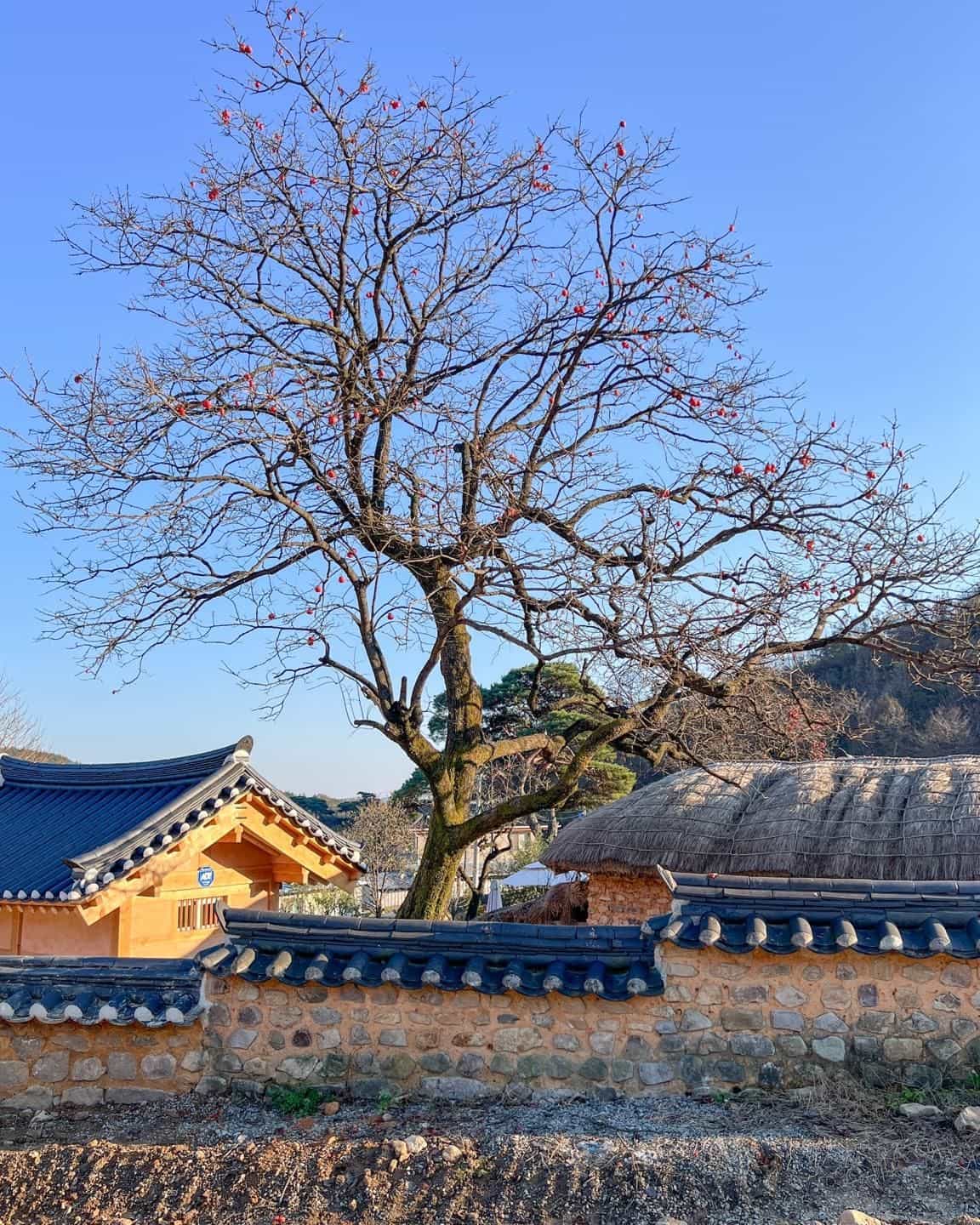 Jukheon Traditional House (Korea Quality)