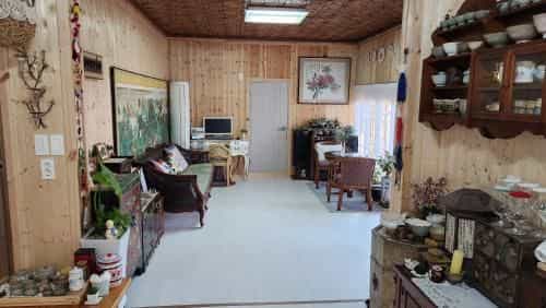 Wolyeongchae