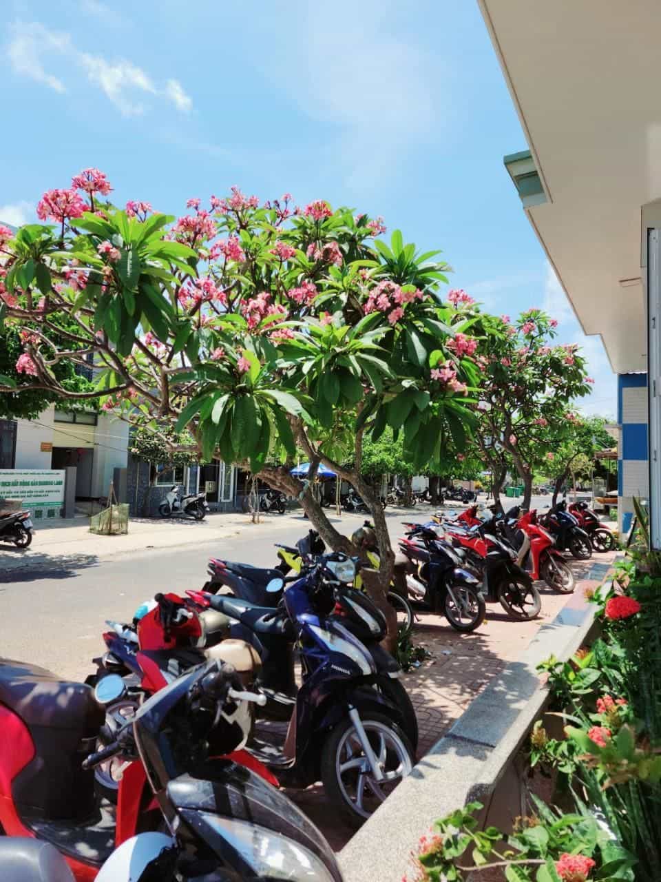 Hải Long Hotel Đảo Phú Quý Hải Long Hotel Đảo Phú Quý