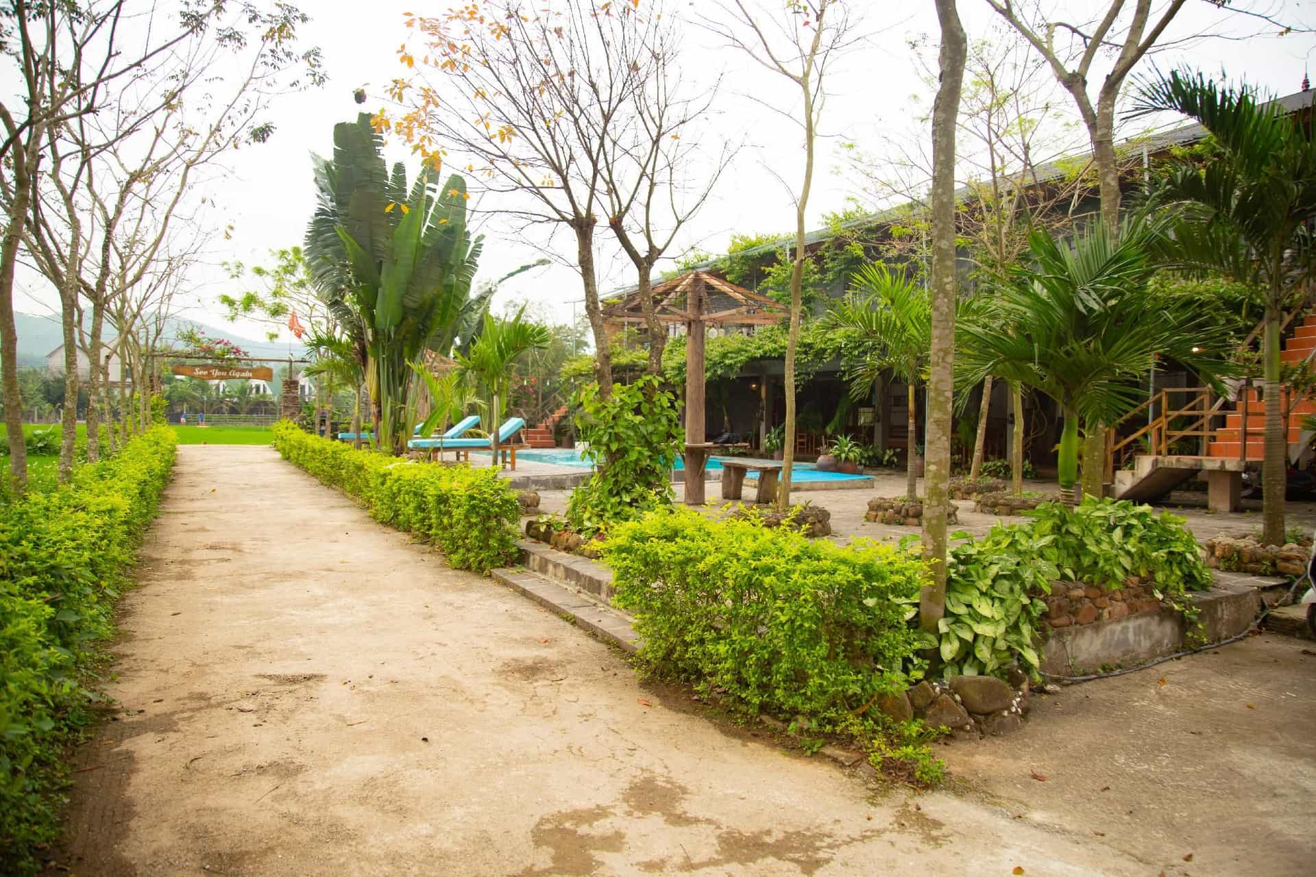 Sy's Homestay Sy's Homestay
