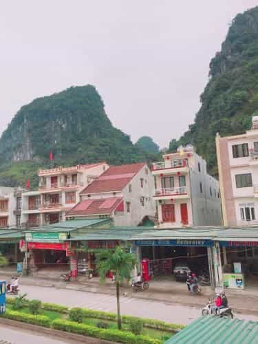 Golden Forest Homestay
