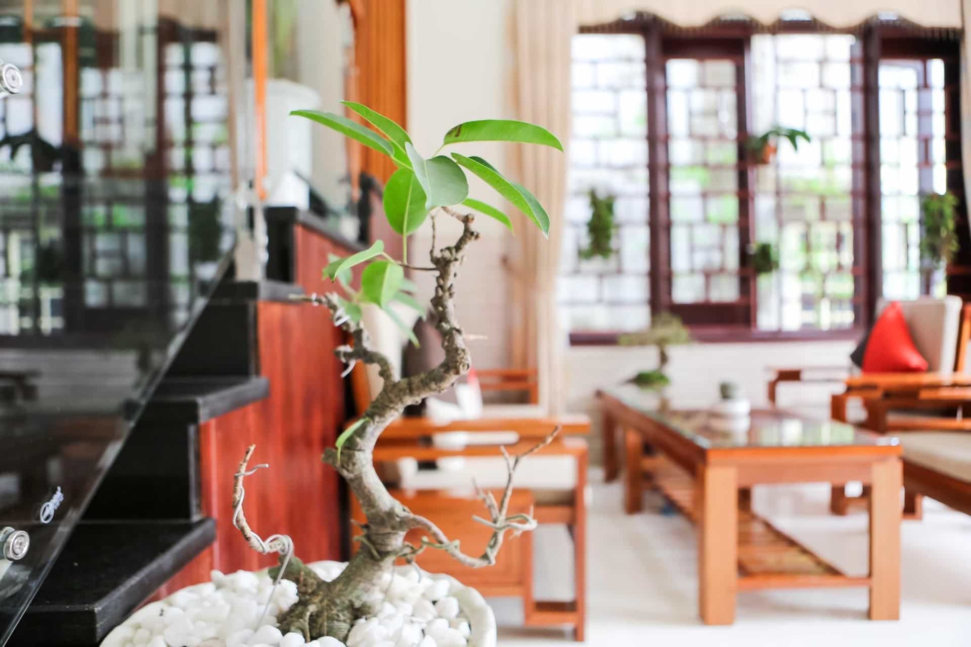 Viet Nhat Homestay Hoi An Viet Nhat Homestay Hoi An