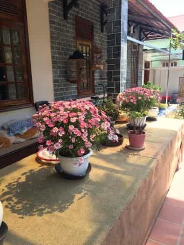 Hostel Phuong Nga Hostel Phuong Nga
