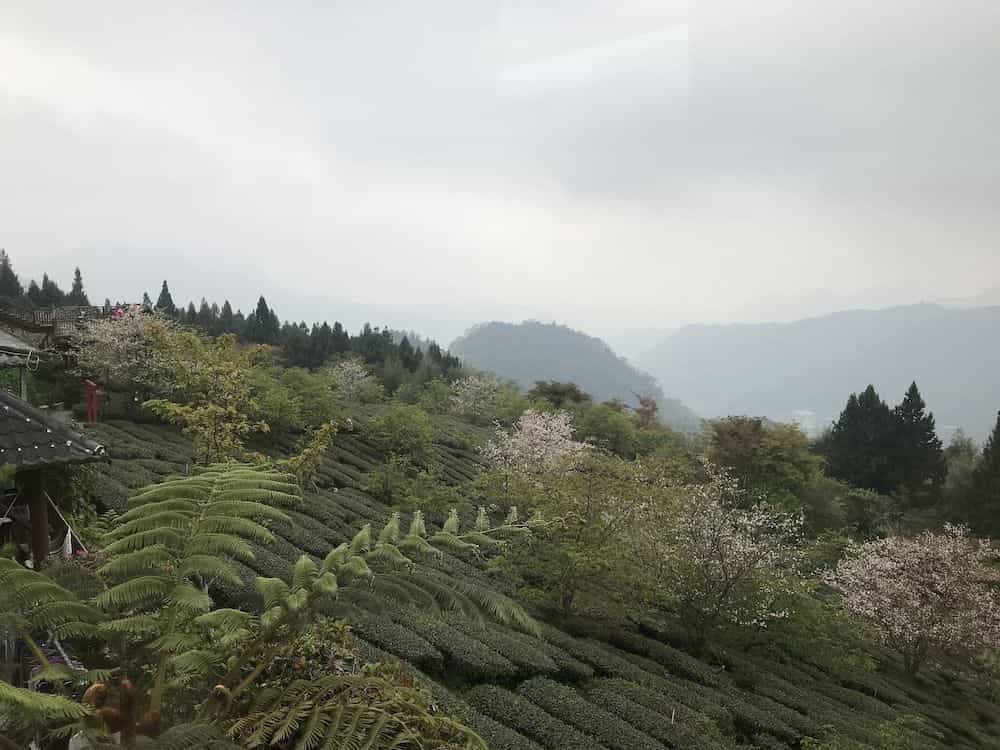Zhu Yuan Homestay
